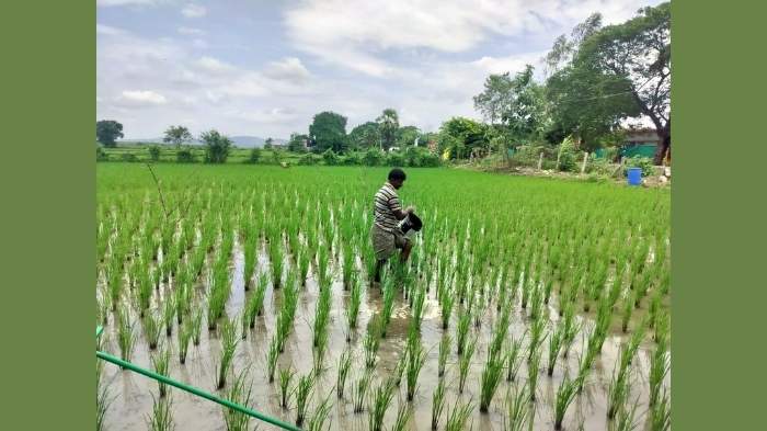 cm revanth reddy focuses on making farming profitable